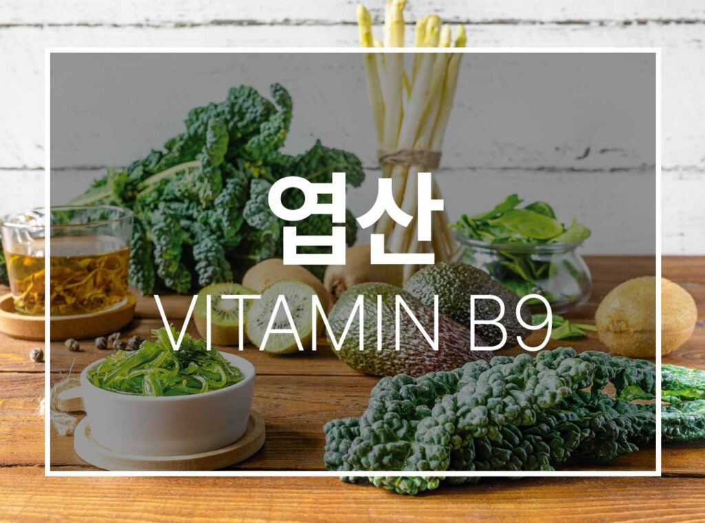 vitamin_b9