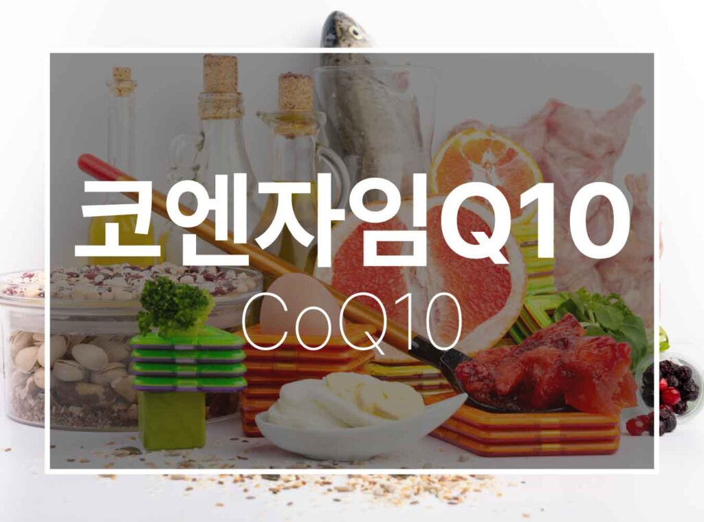 임신준비 영양제 코엔자임Q10
coq10